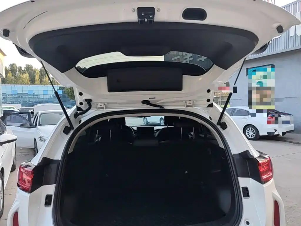 Haval Chitu — миниатюра 19