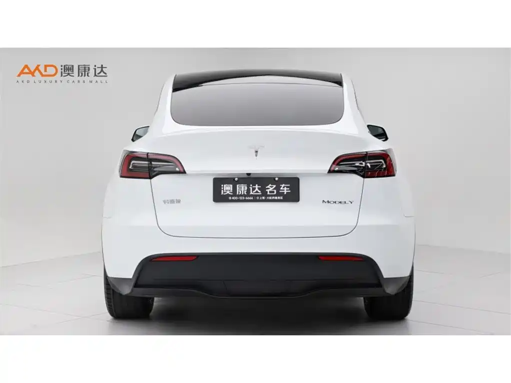 Tesla Model Y — миниатюра 4
