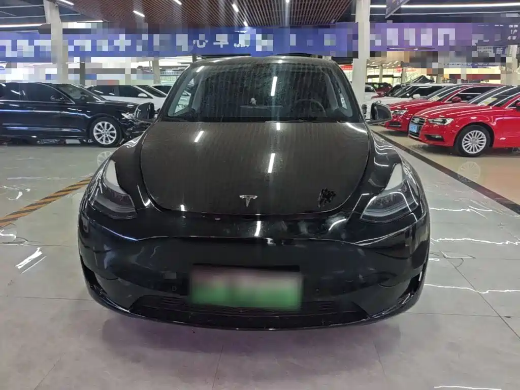 Tesla Model Y — миниатюра 3