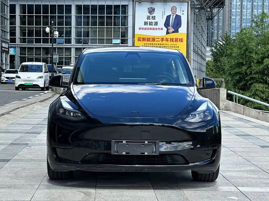 Tesla Model Y — миниатюра 2