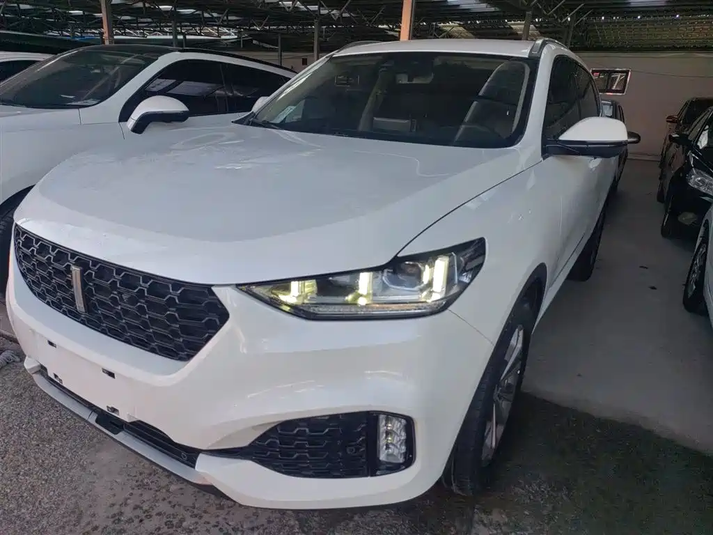 Wey Wey VV6 2018