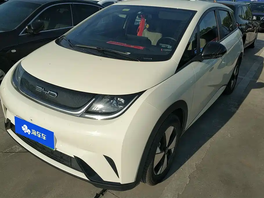 Byd Dolphin 2024