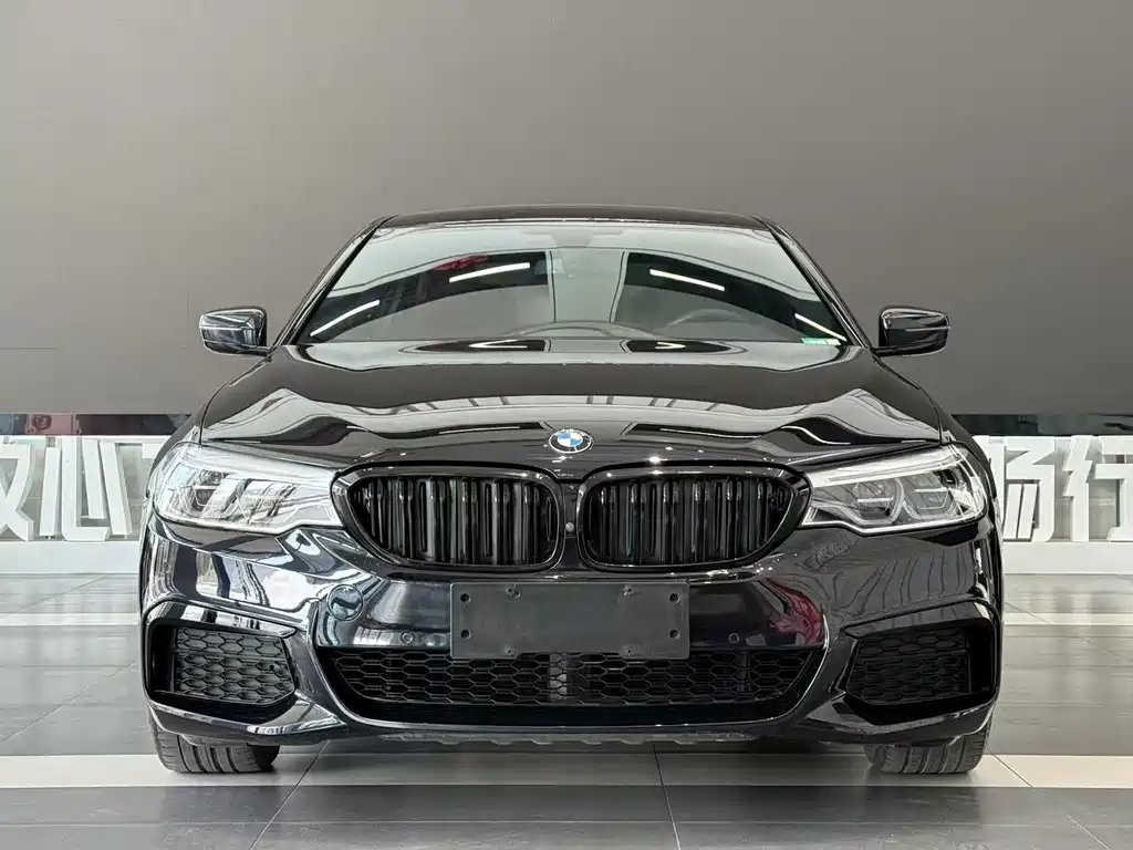 BMW 5 Series — миниатюра 2