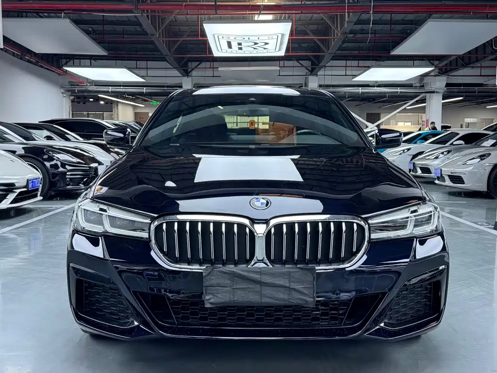 BMW 5 Series — миниатюра 2