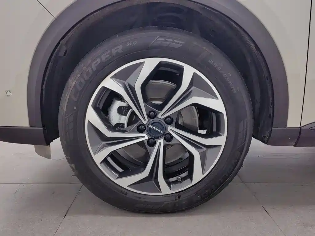 Haval Xiaolong MAX — миниатюра 17