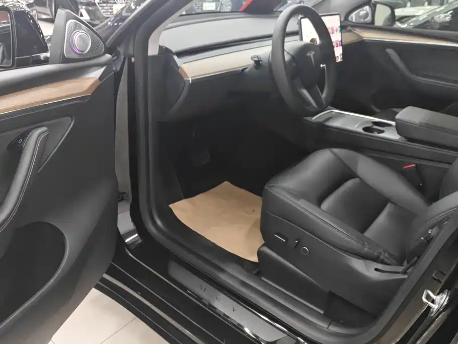 Tesla Model Y — миниатюра 9