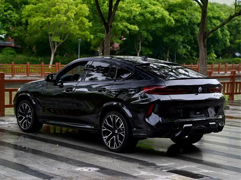 BMW X6 M — миниатюра 6