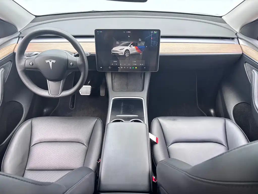 Tesla Model Y — миниатюра 12