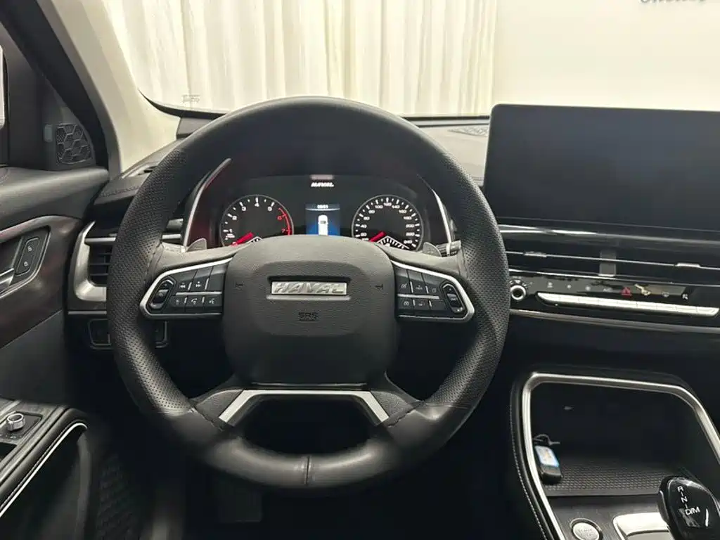 Haval H6 — миниатюра 10
