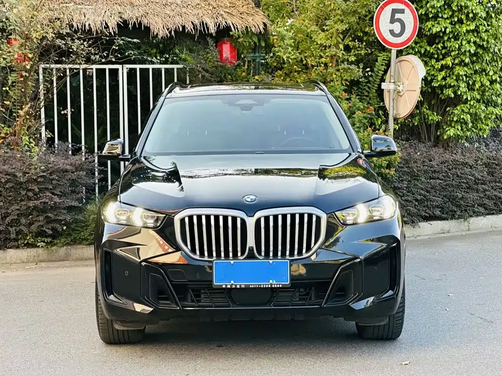 BMW X5 2023 — фото 2
