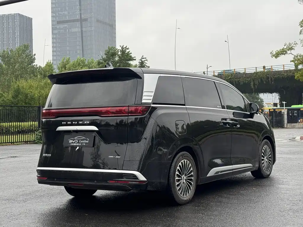 Denza Denza D9 — миниатюра 16