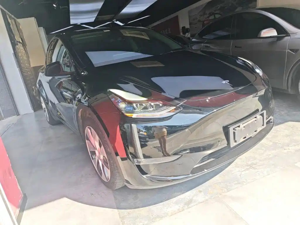 Tesla Model Y — миниатюра 4
