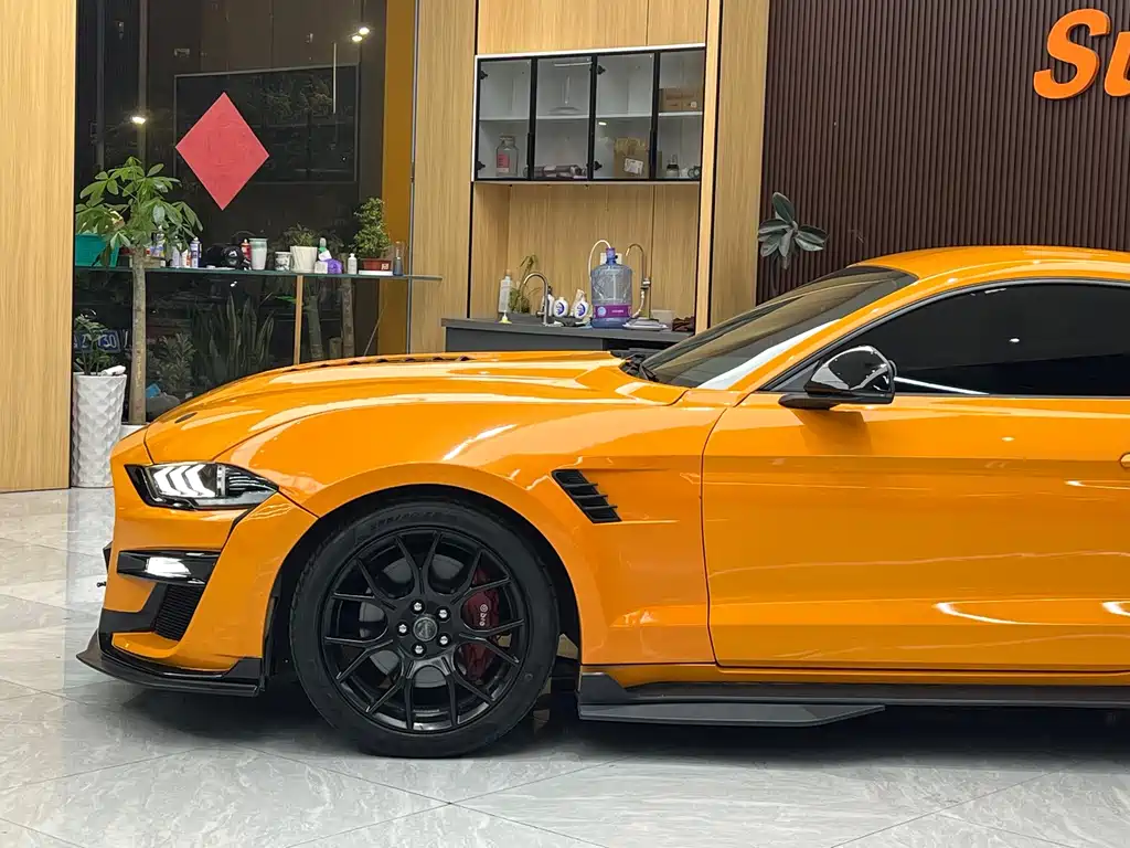 Ford Mustang — миниатюра 13