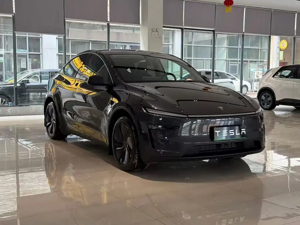 Tesla Model Y — миниатюра 3