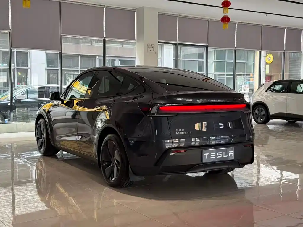 Tesla Model Y — миниатюра 9