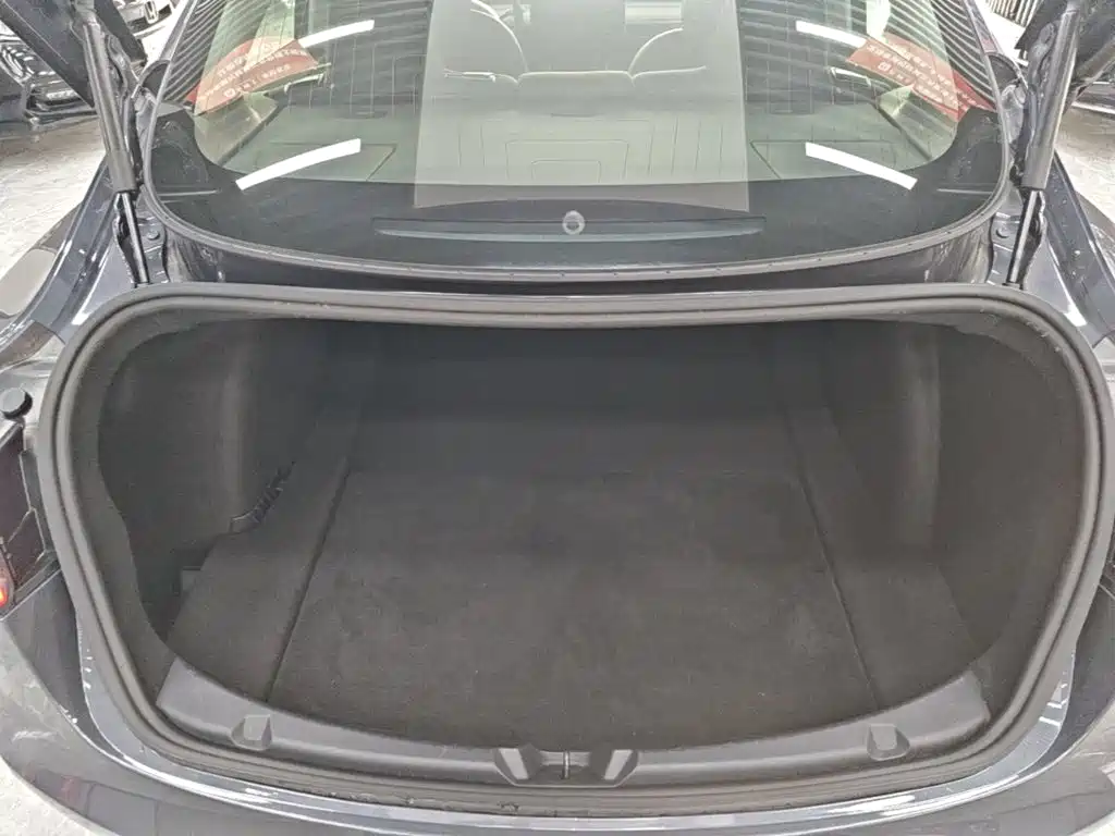 Tesla Model 3 — миниатюра 19