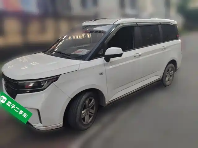 2021 Wuling Motors Hongguang