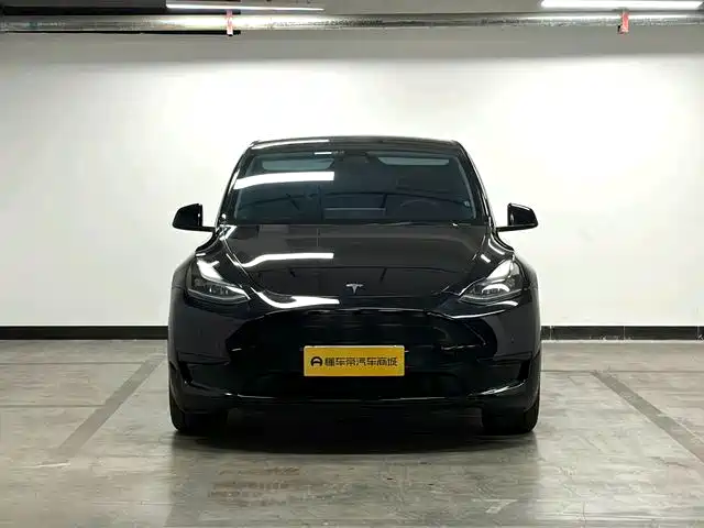 Tesla Model Y — миниатюра 2