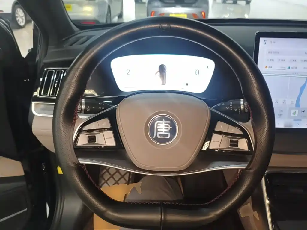 BYD Tang New Energy — миниатюра 11