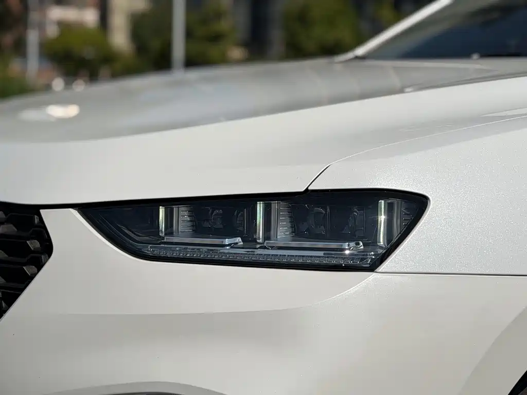 WEI PAI WEI BRAND VV7