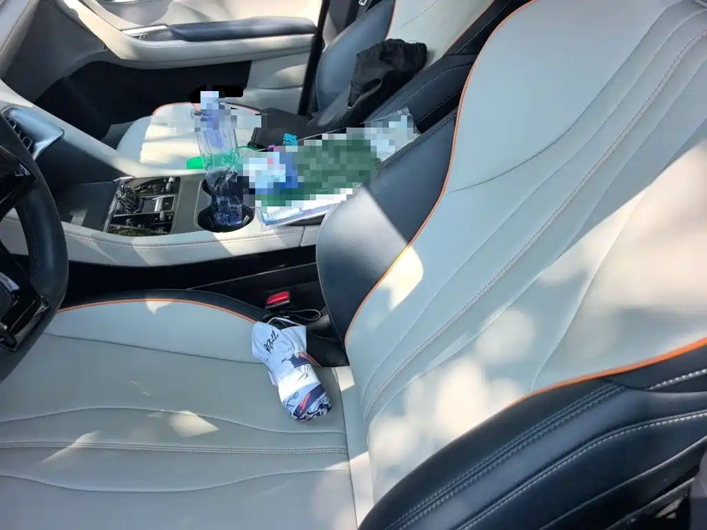 BYD PLUS New Energy — миниатюра 12