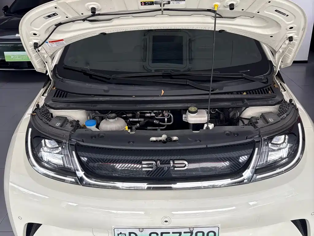 BYD Dolphin — миниатюра 14