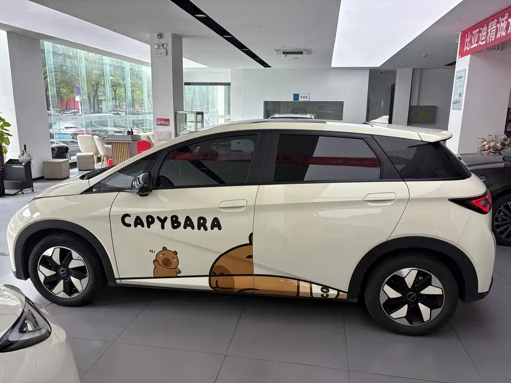 BYD Dolphin — миниатюра 5