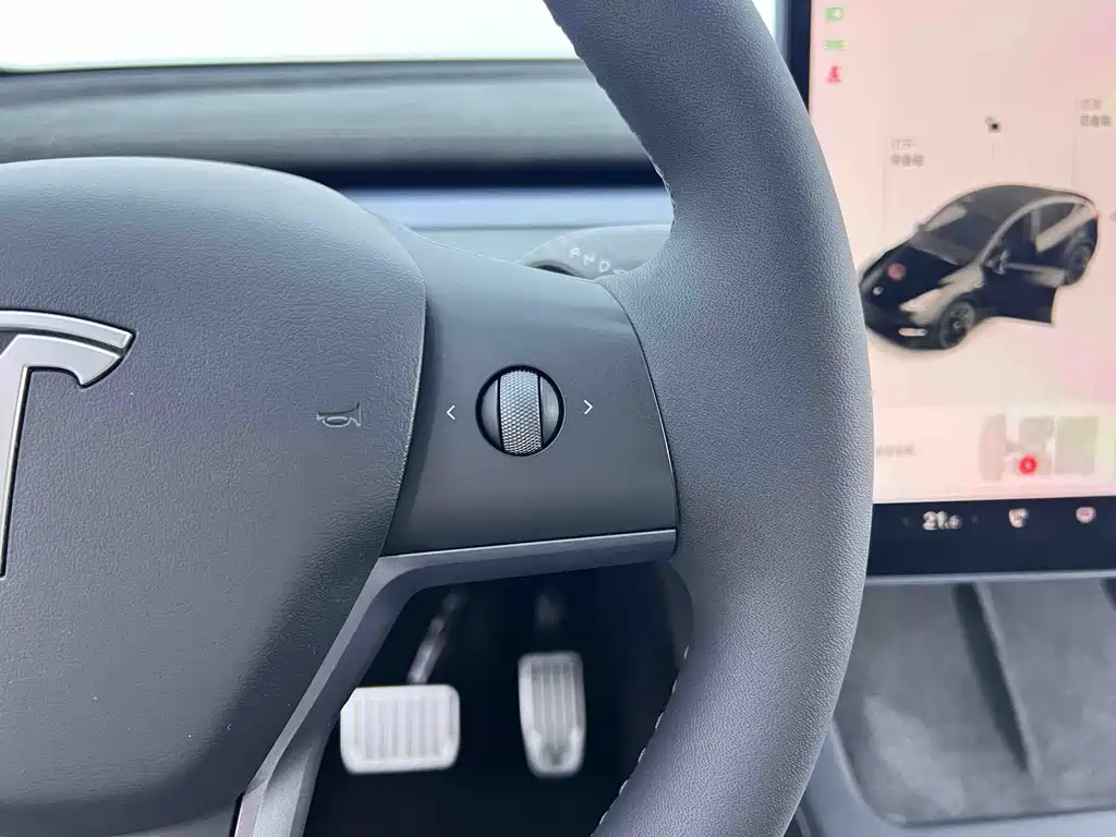 Tesla Model Y — миниатюра 18