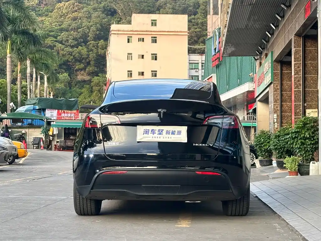 Tesla Model Y — миниатюра 5