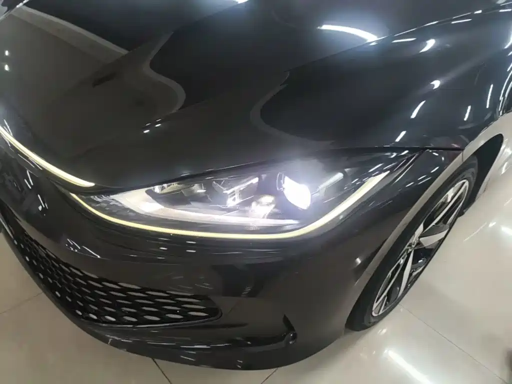 Volkswagen Lamando — миниатюра 24