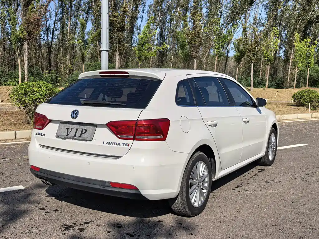 Volkswagen Gran Lavida — миниатюра 23