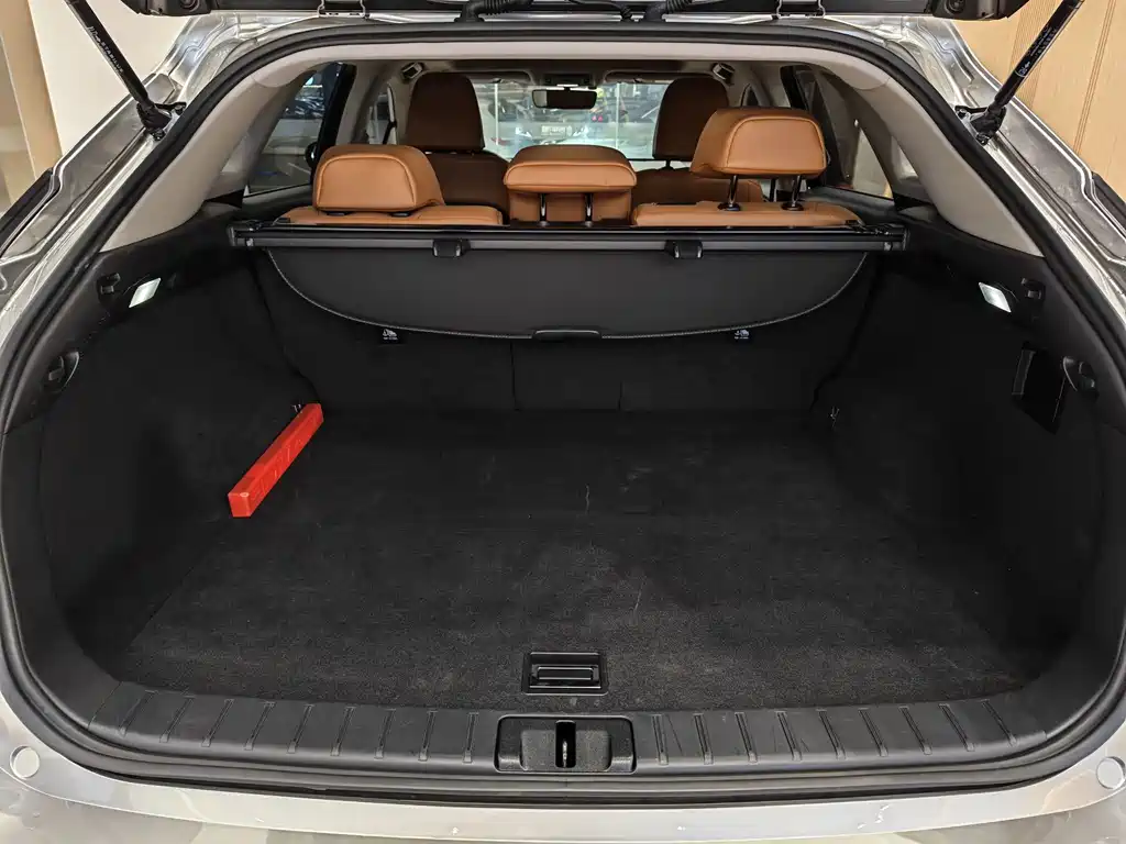 Lexus RX Facelift 300 2WD Elite Edition, фото 13