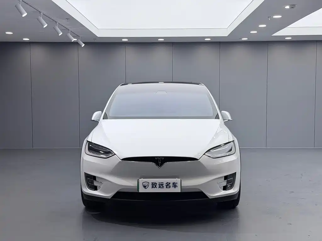 Tesla Model X — миниатюра 2
