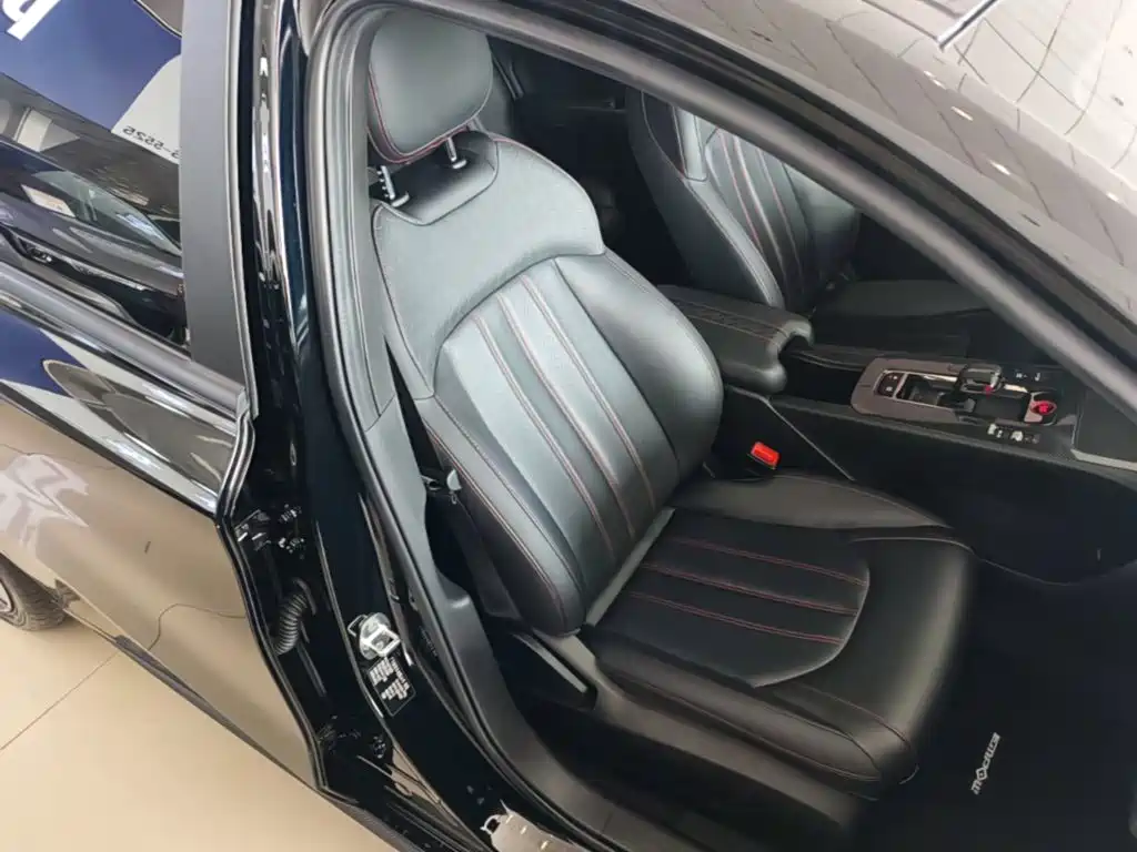 GAC Motor Shadow Leopard — миниатюра 25