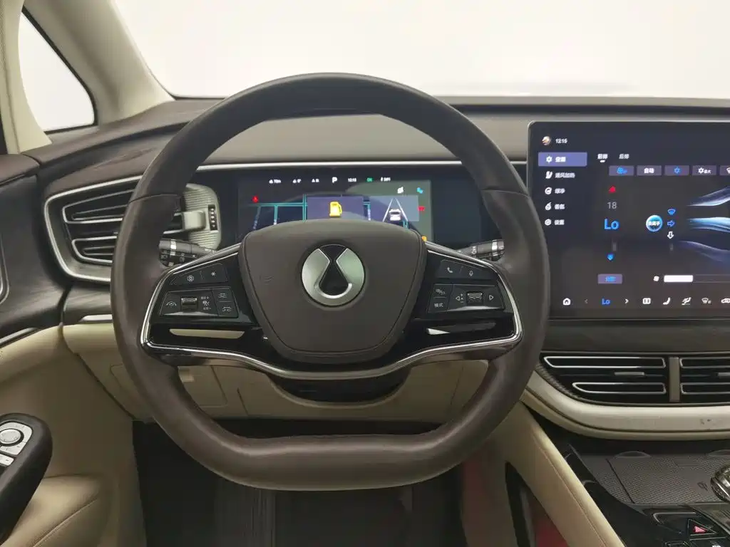 Denza Denza D9 — миниатюра 11