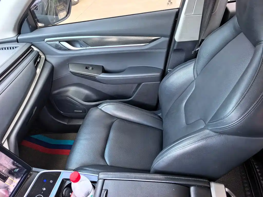 WM Motor EX6 — миниатюра 12