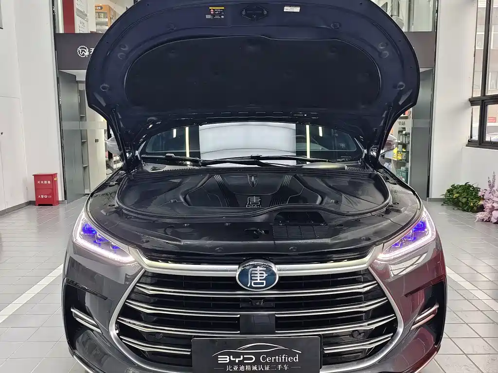 BYD Tang New Energy — миниатюра 2