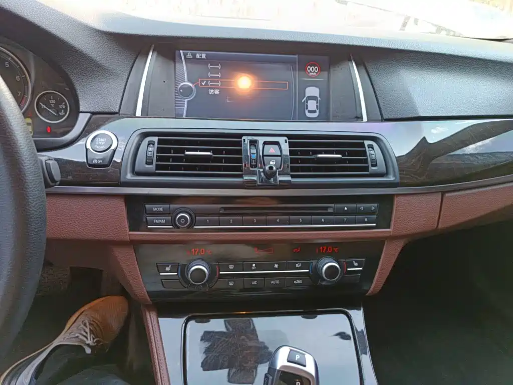 BMW 5 Series 5 2014 525Li Lead