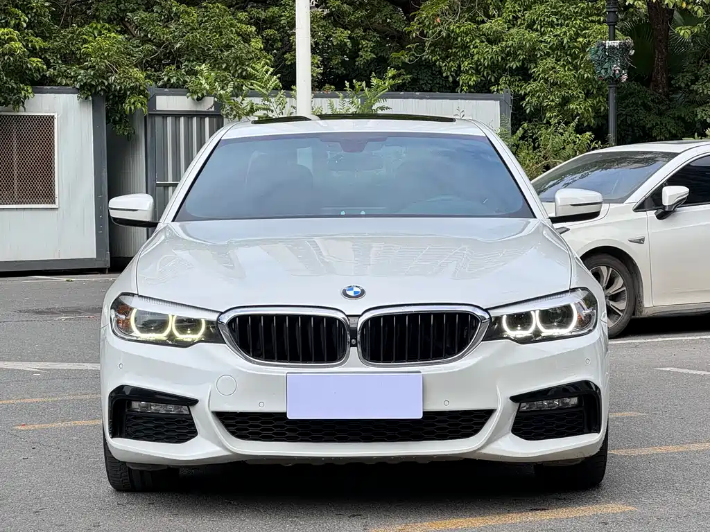 BMW 5 Series 5 2018 530Li Lead M Sport