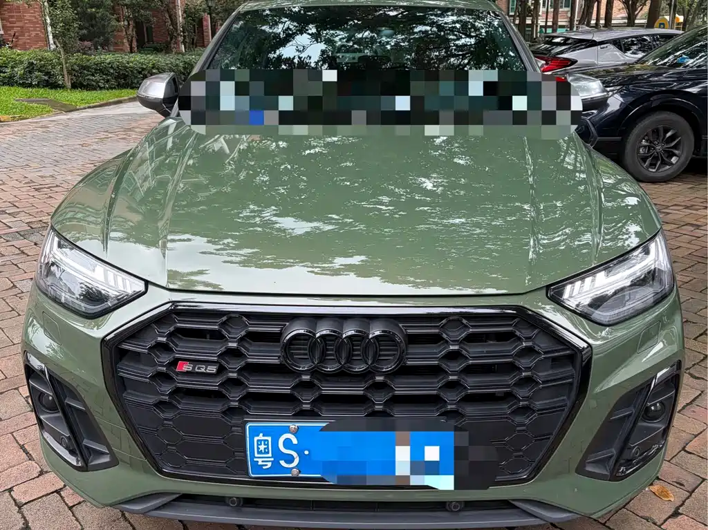 Audi SQ5 — миниатюра 2