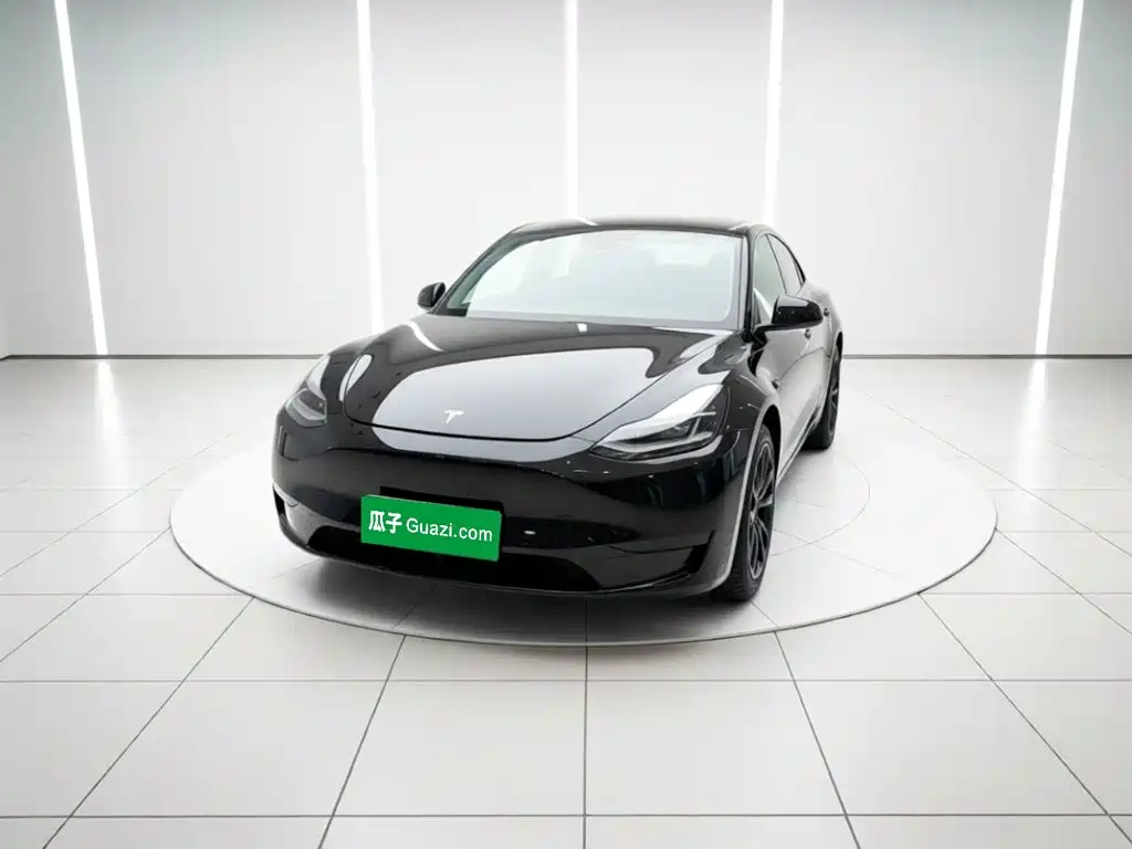 Tesla Model Y — миниатюра 2