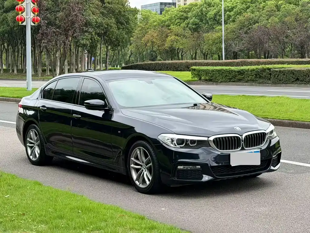 BMW 5 Series — миниатюра 3