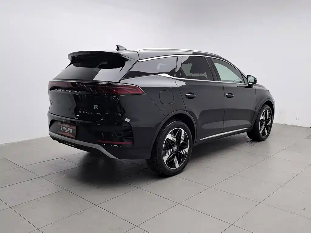 BYD Tang New Energy — миниатюра 2