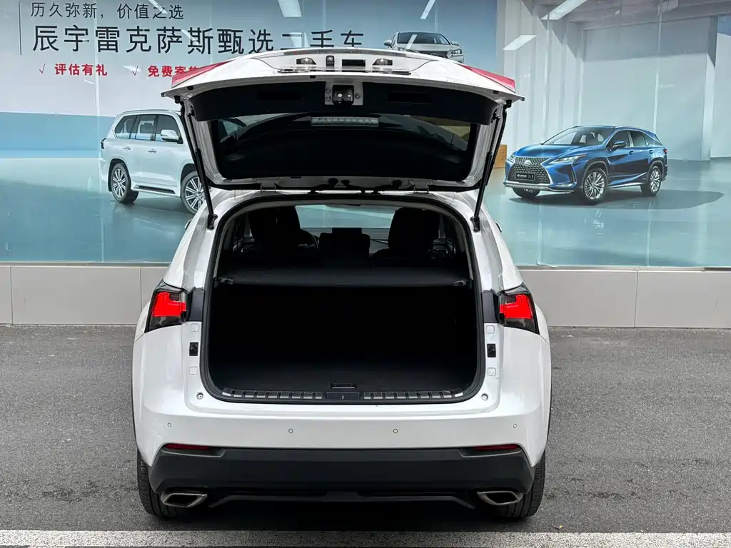 Lexus NX — миниатюра 6