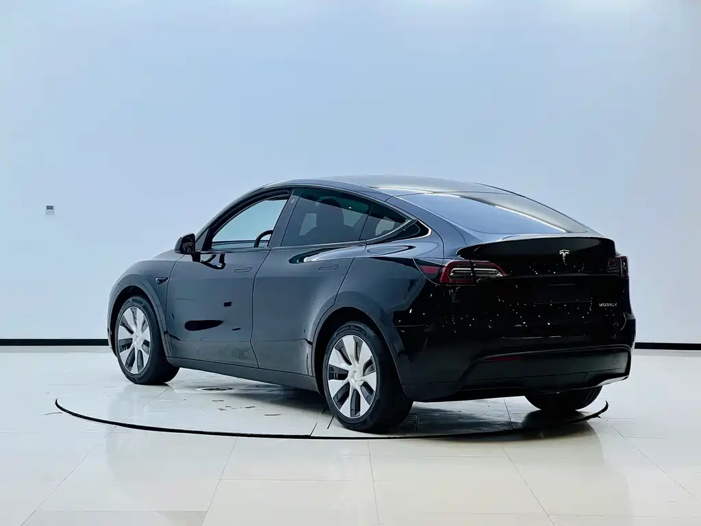 Tesla Model Y — миниатюра 14