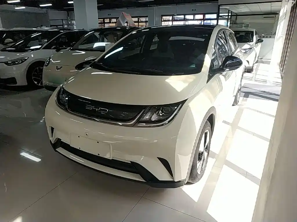 BYD Dolphin — миниатюра 2
