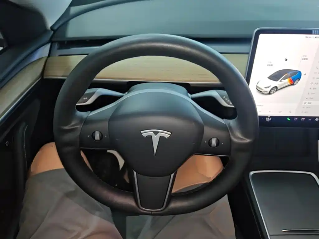 Tesla Model Y — миниатюра 11