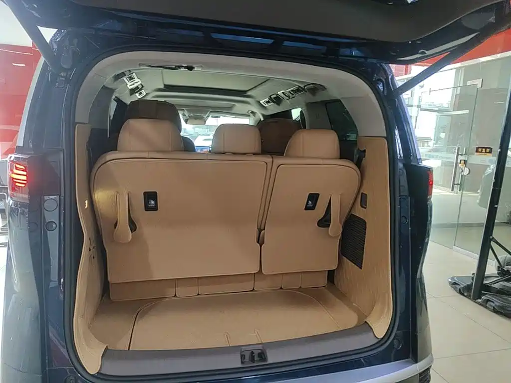 Denza Denza D9 — миниатюра 19