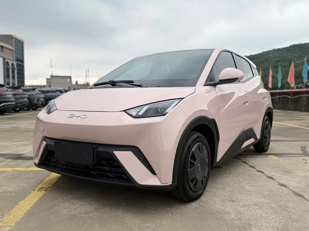 Byd Seagull 2024
