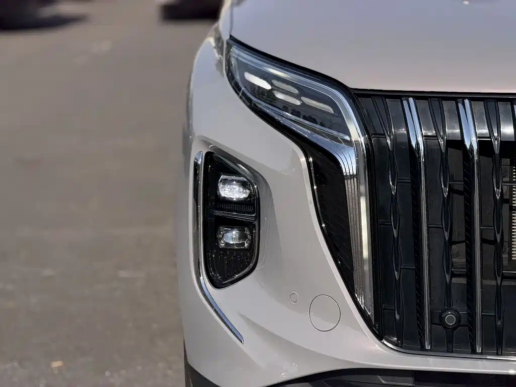 Hongqi HS7 PHEV 2024 2.0T PHEV 6 мест